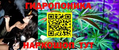 мяу мяу мука Будённовск
