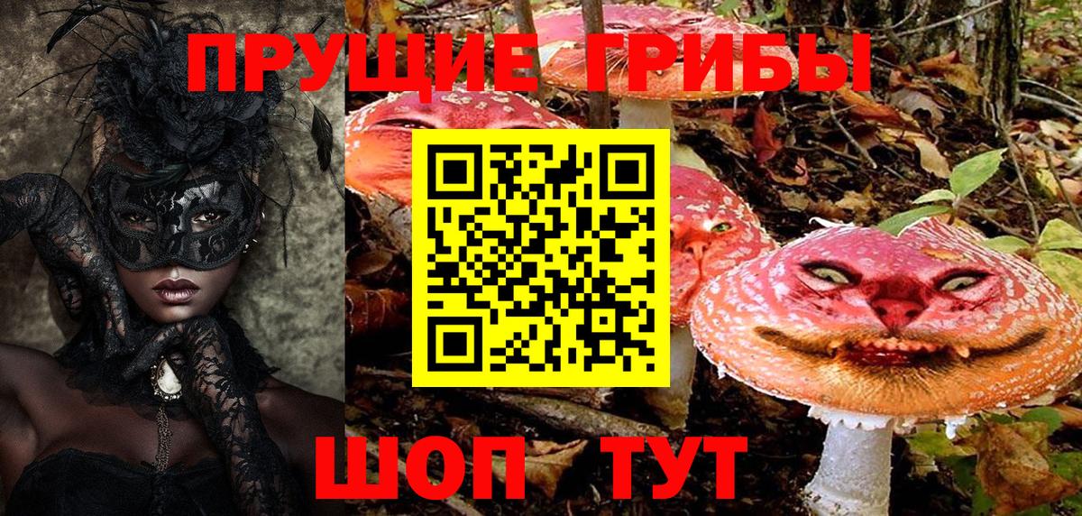 Псилоцибиновые грибы прущие грибы Киреевск