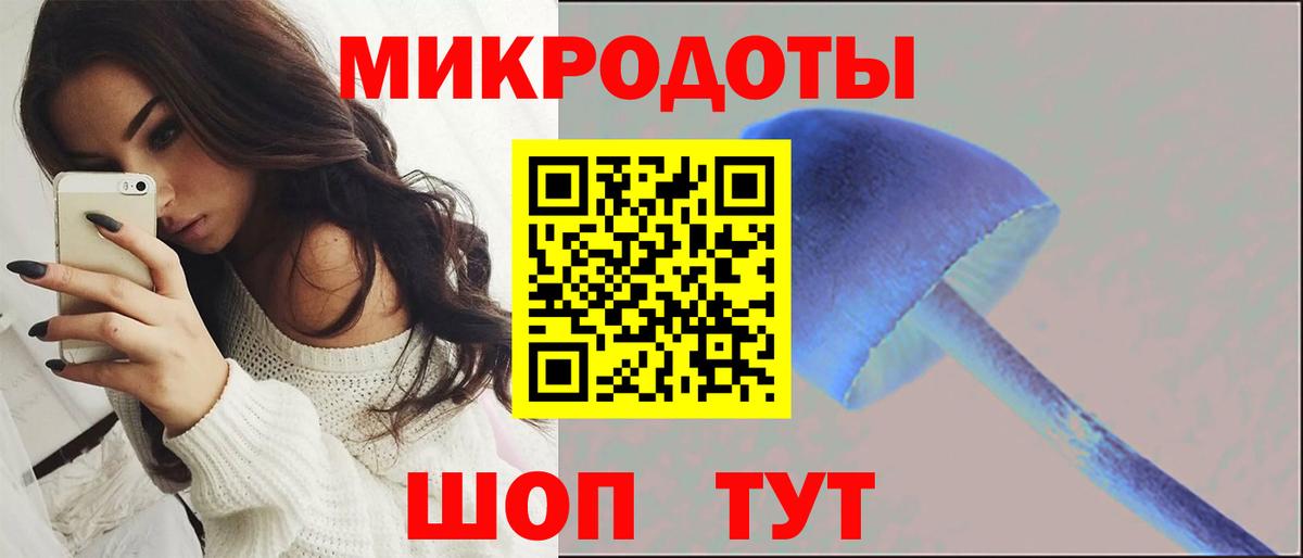 Киреевск  Галлюциногенные грибы Psilocybine cubensis  Вход с VPN 